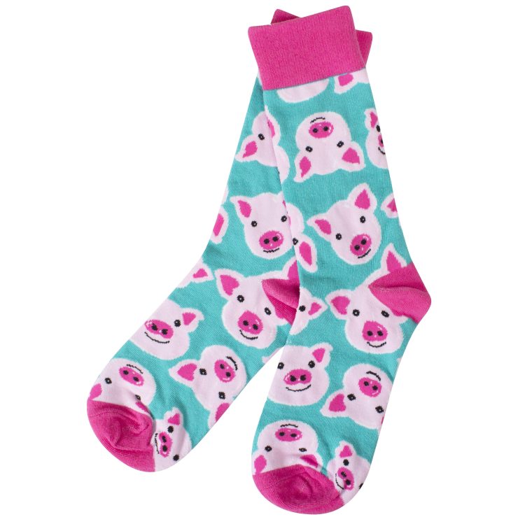 A photo of the Piggy Teal Socks product