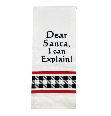 A photo of the I Can Explain Towel product