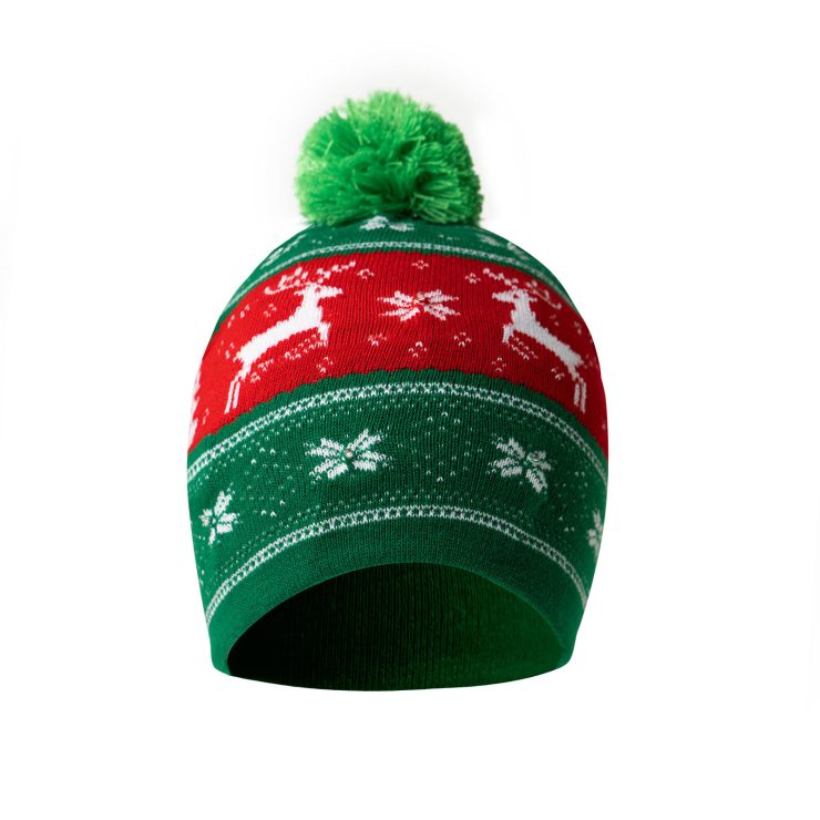 A photo of the Christmas Light Up Beanie product