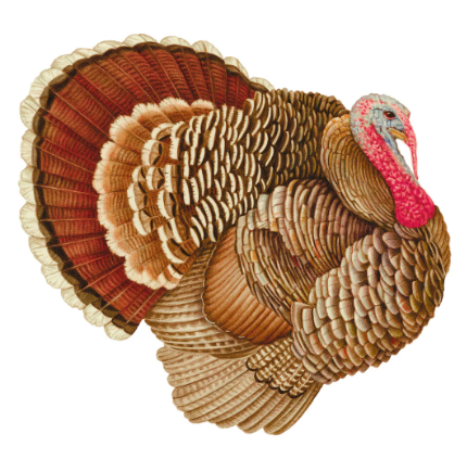 A photo of the Turkey Paper Placemats product